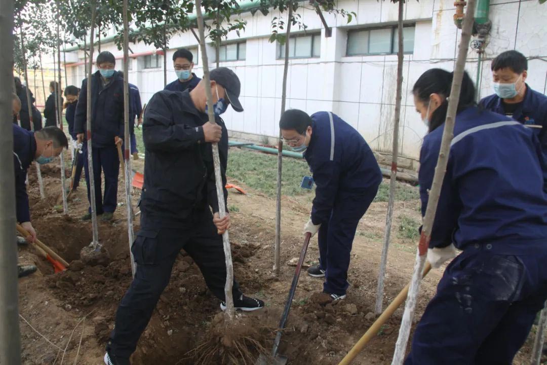 常州廠區植樹