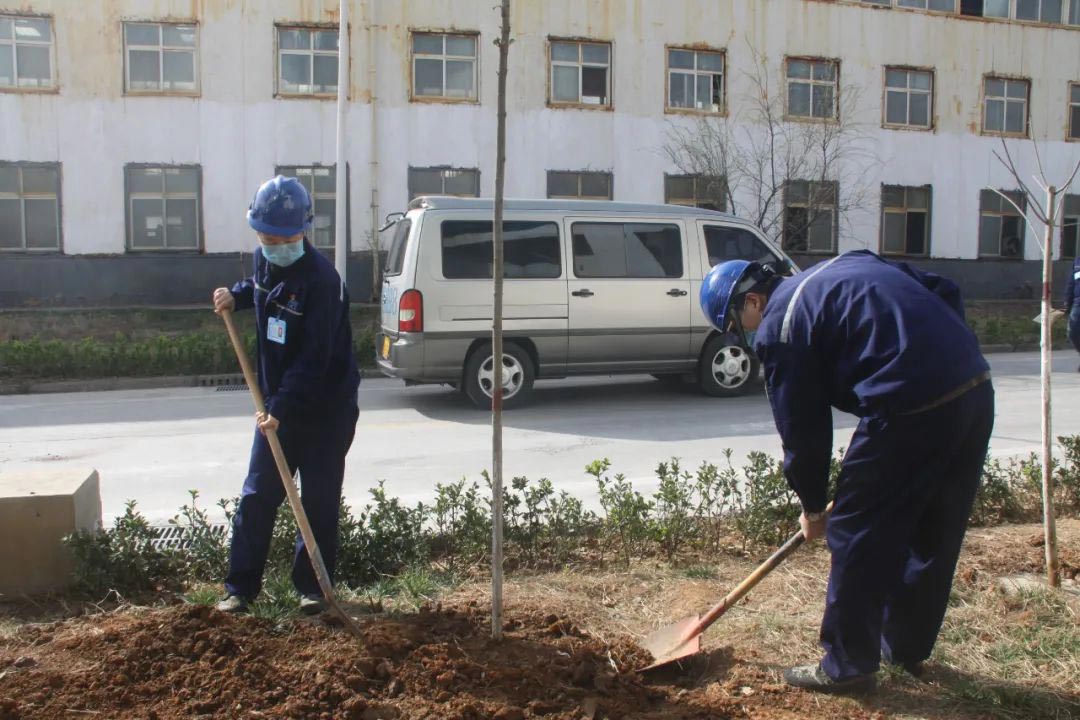 廠區綠化植樹